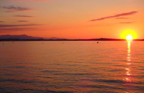 Residence Veles Plage - Foto 40