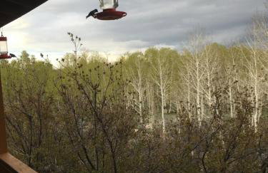 Whistle Pig Retreat at 22 West Cabins and Recreation - Foto 38