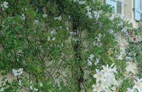 Entire apartment with swimming pool near Aubeterre - Foto 10