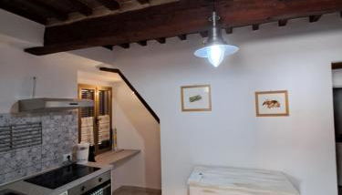 La casa di Dino ,pari - Foto 5