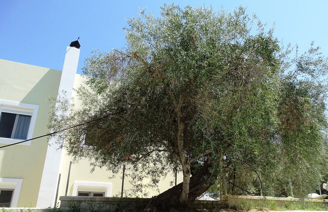 Lyrids Apartments - Photo 133