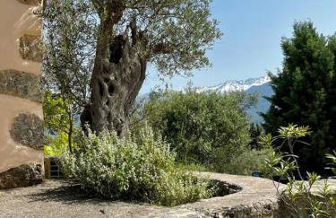 Maison Théia, entre mer et montagne Samonas - Foto 34