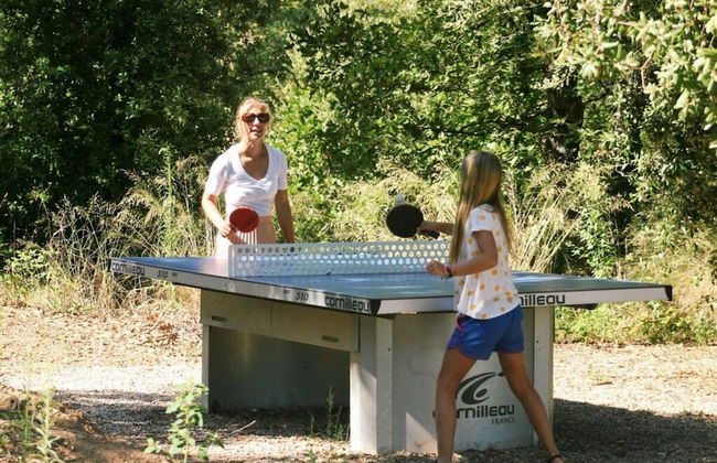 Prat-bourdin no. 18 Hameau des Claudins - Foto 8