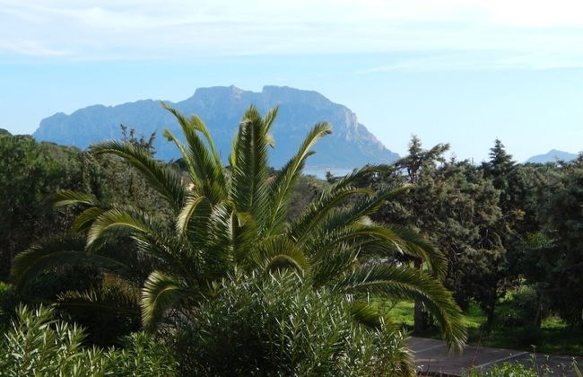 Trilo Bellavista 3 - Photo 6