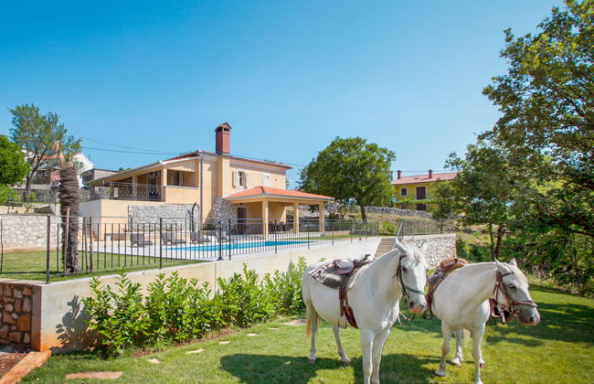 Villa Palachina Antishova - Foto 20