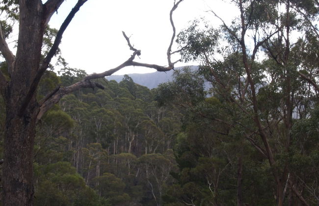 Craggy Peaks Wilderness Cabins - Foto 53
