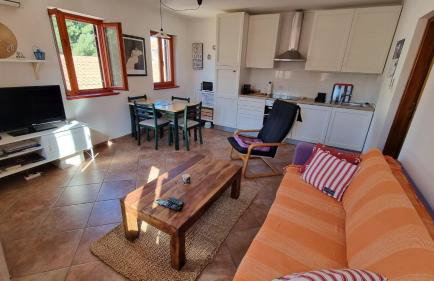 Old Harbour - Photo 6