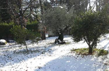 Estancia rural ideal con niños - Miraflores Sierra - Foto 15