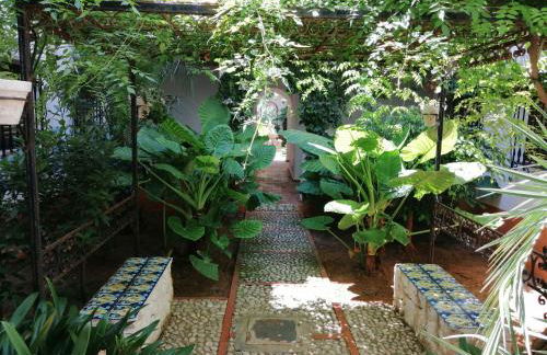 A primera linea de playa - Foto 18