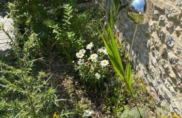 Maison Floréal Giverny - Foto 32