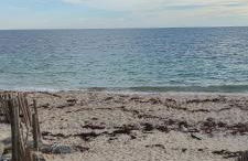 La Perle de l'Océan, à deux pas de la mer sans route à traverser, parking privé, piscine - Foto 39