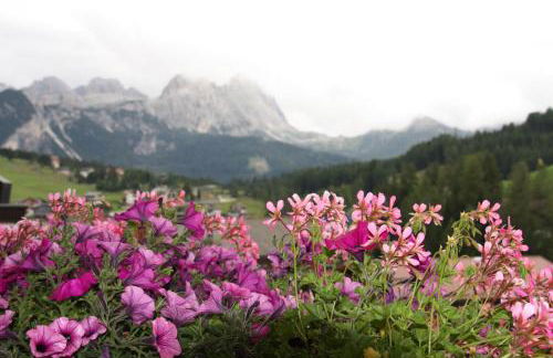 Residence Vajolet San Cassiano - Photo 31