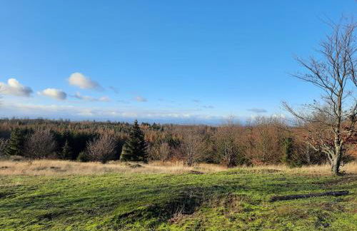 Nationalparkblick - Foto 13