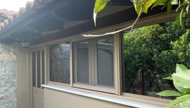 Citrus garden - Photo 4