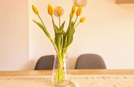 El Rincon de las Americas - Foto 13