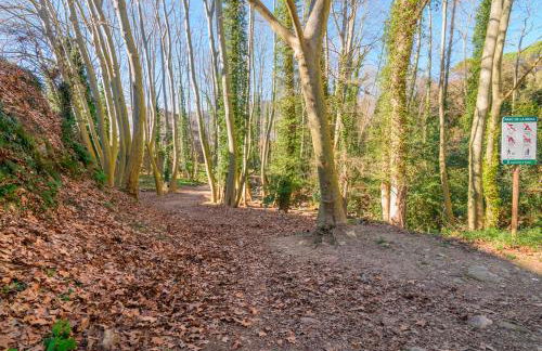 Cal Metge de Gualba - Foto 52