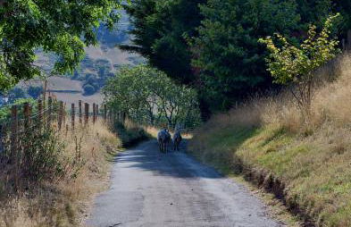 Mountain View Farm Cottage - Foto 7