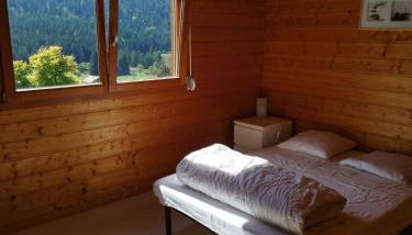 Grand Valtin : chalet écolo 4 étoiles 14 personnes - Foto 5