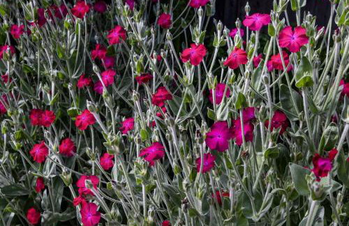 The Retreat at River Gardens - Photo 37