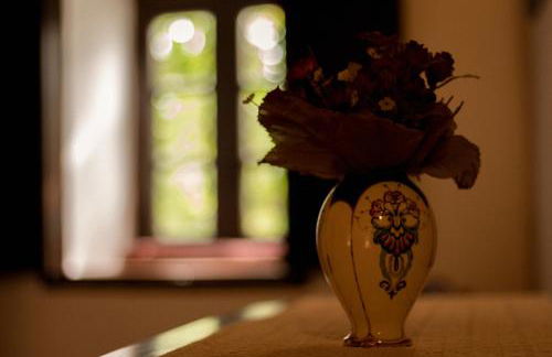 Casa Rústica - Foto 11