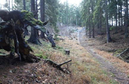 Café Landart im Thüringer Finistère - Foto 77