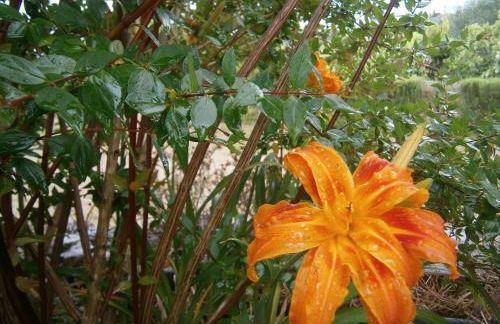 Quinta do Tempo Turismo Rural - Foto 31