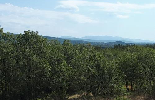 The Olive Garden - Foto 32