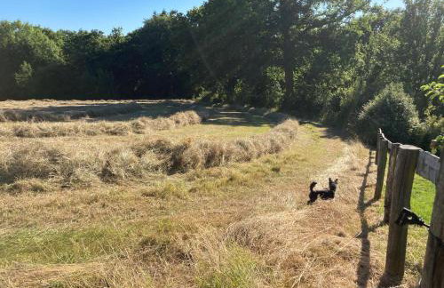 Pet Friendly - 2 Guests - Original Roadsmans Wagon - Foto 24