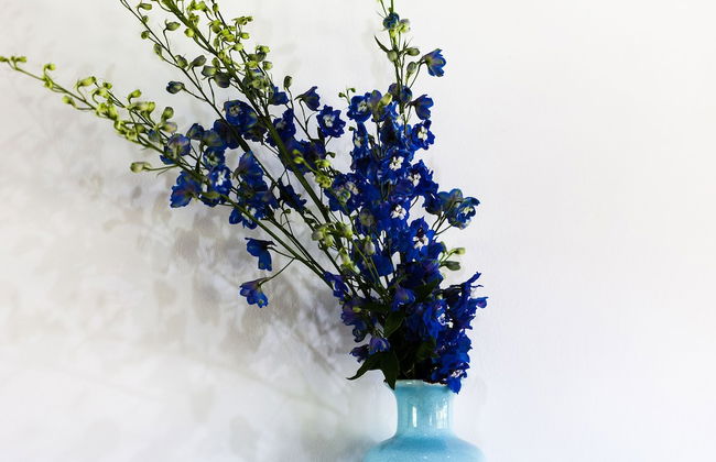 Worrowing Jervis Bay - Foto 30