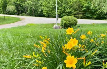 River Rock Villa - Privacy, Pool, River, Luxury - Foto 37