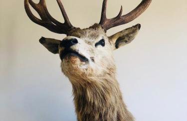 Luxury barn with pool table near Southwold - Foto 40