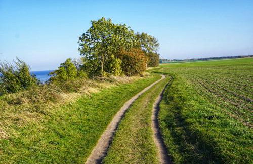 Frühlingserwachen im Haus Wassermann - Foto 49