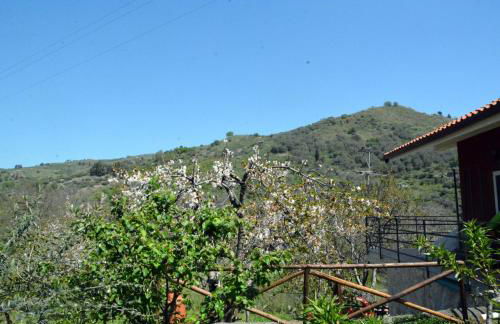 La terra dei ciliegi tra l'Etna e il mare di Taormina - Foto 35