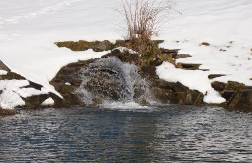 Domek nad stawem - Foto 50