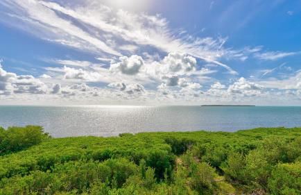 Sunshine Paradise Key Largo Ocean Pointe 4402 - Foto 22