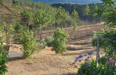 Vale de Garcia AL 5357 - Foto 45