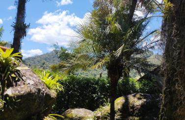 Canto da Pedra Visconde de Mauá - Foto 54