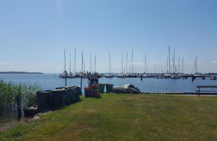 Ferienhäuser Hühnergott und Kranichnest, Sauna, Kamin und Garten - Foto 25