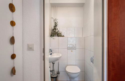 Aufblühen in Menzenschwand - Foto 26