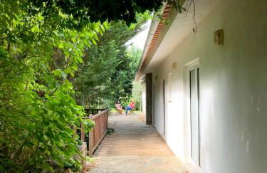 Casa do Galo / Galo House - Foto 19