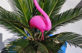 Casa Flamingo House - Photo 7