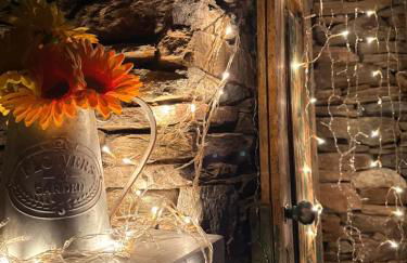 Longra Family Villa & SPA - Foto 12