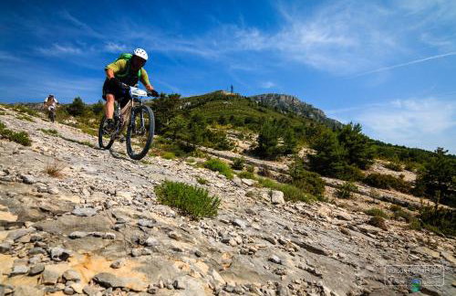 CAMPING 3* ! PROGHE DES GORGES DU VERDON ET LAC DE STE CROIX 04500 ! TOUT EQUIPE ! CHAMPS DE LAVANDES ! CALME ! NBRES ACTIVITES ! RANDONNEES ! NAUTISME ! - Foto 5