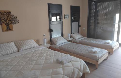 Silvi house - Photo 55