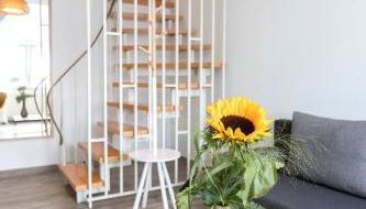 Hotel Apartment Laforsch - Foto 4