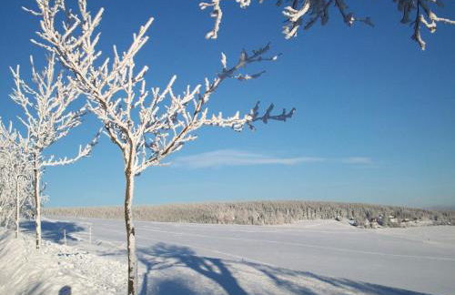 2-Personen-Apartment - Foto 9