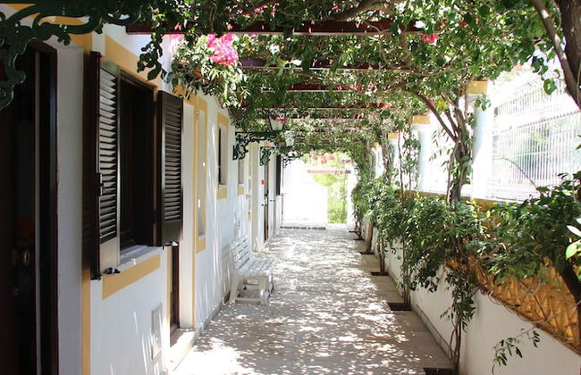 Muthu Balaia Sol - Photo 55