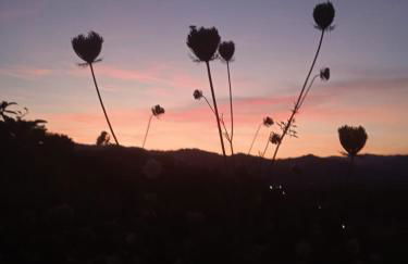 Il Paradiso all'improvviso - Photo 7