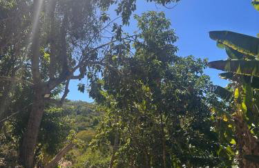 Cantinho verde - Photo 25