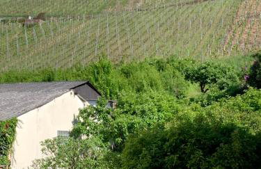 Am Kräutergarten - Foto 25